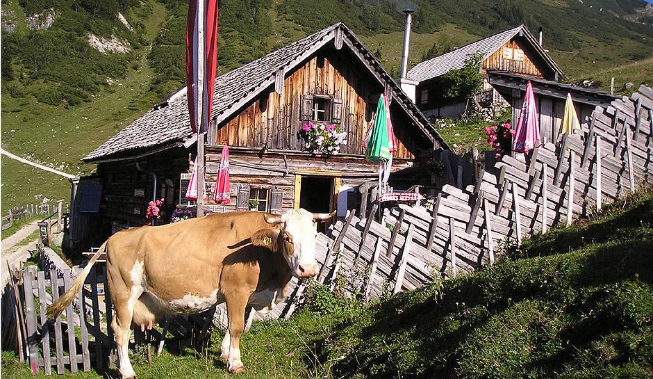 Apartment Haus Van Der Leij Russbach am Pass Gschütt Eksteriør bilde